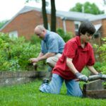 Crédit d'impôt pour l'entretien du jardin : comment réduire ses dépenses et profiter d’avantages fiscaux ?