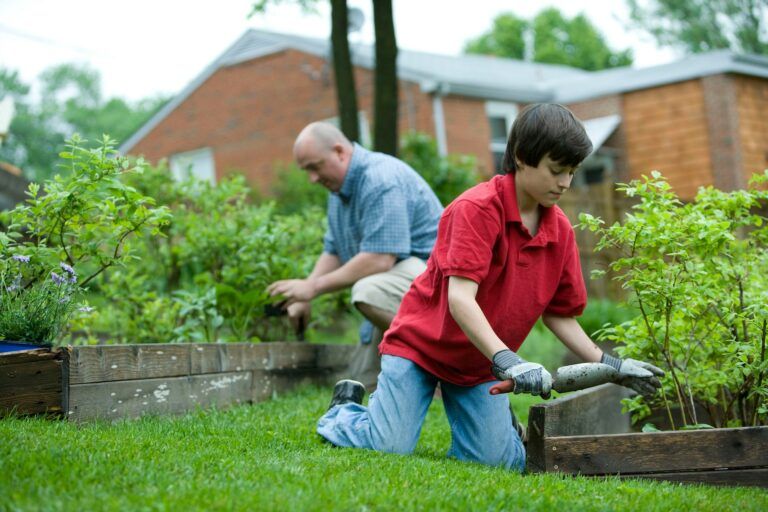 Crédit d'impôt pour l'entretien du jardin : comment réduire ses dépenses et profiter d’avantages fiscaux ?